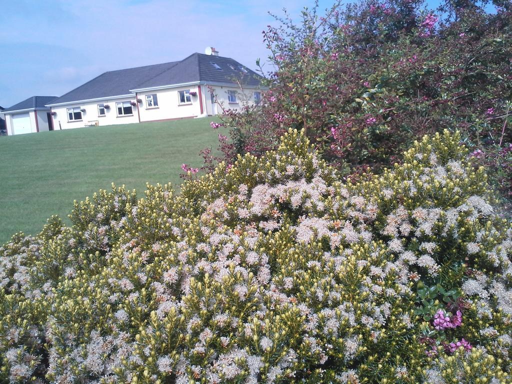 Tullaleagan Guesthouse Oughterard Exterior foto